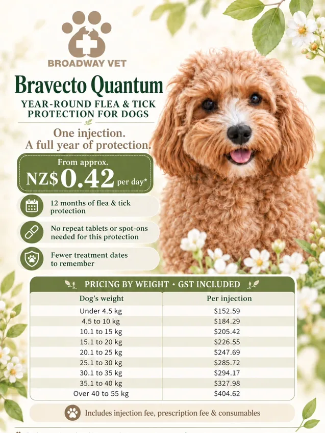 Bravecto Quantum: a year of flea and tick protection for suitable dogs