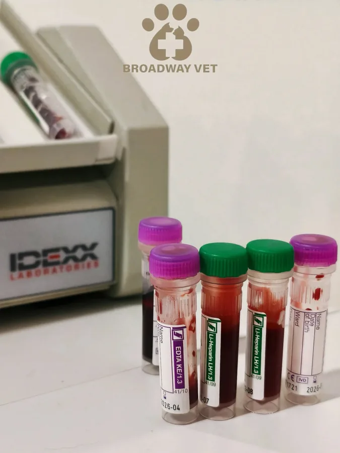 A look at our IDEXX laboratory equipment