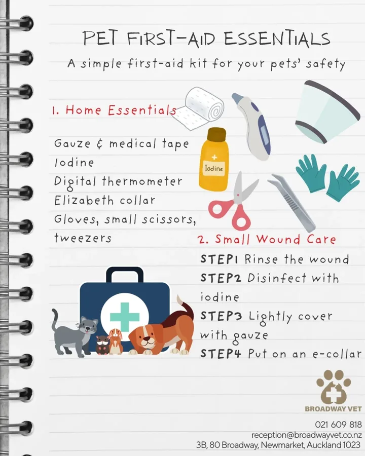 What to include in a pet first-aid kit