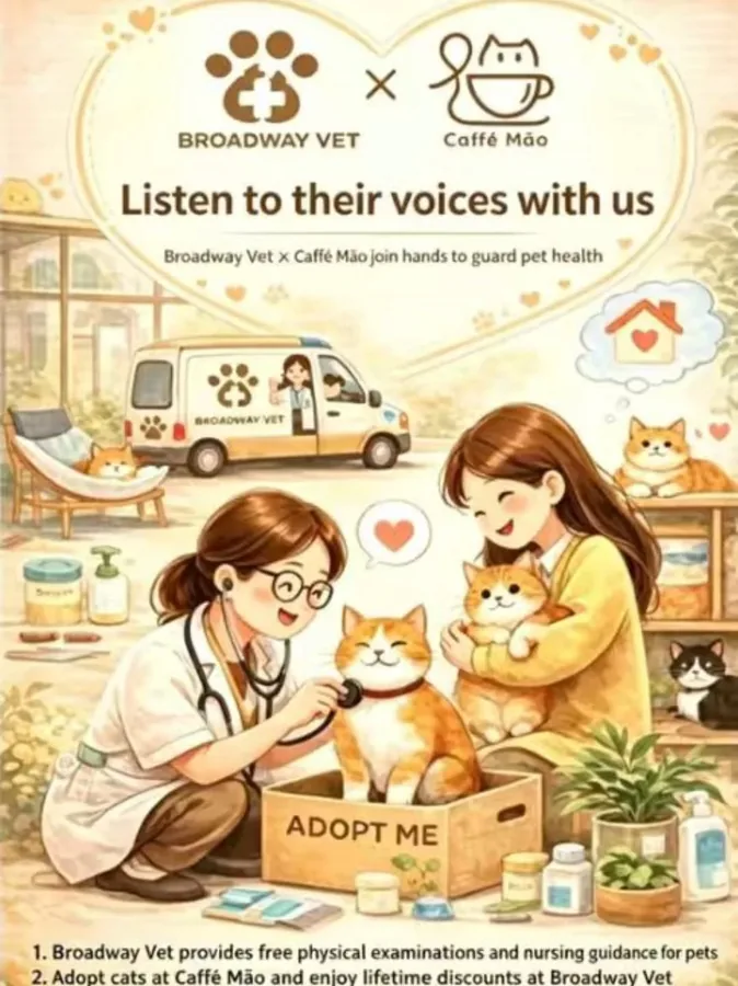 Broadway Vet × Catfé Māo: caring for cats together