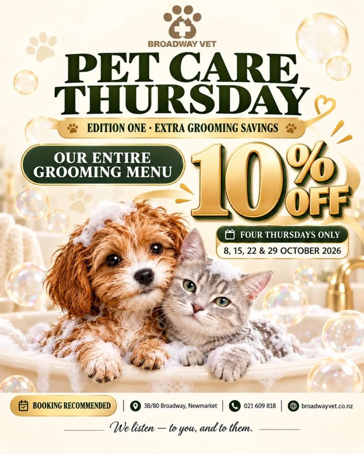 An earlier Pet Care Thursday grooming offer