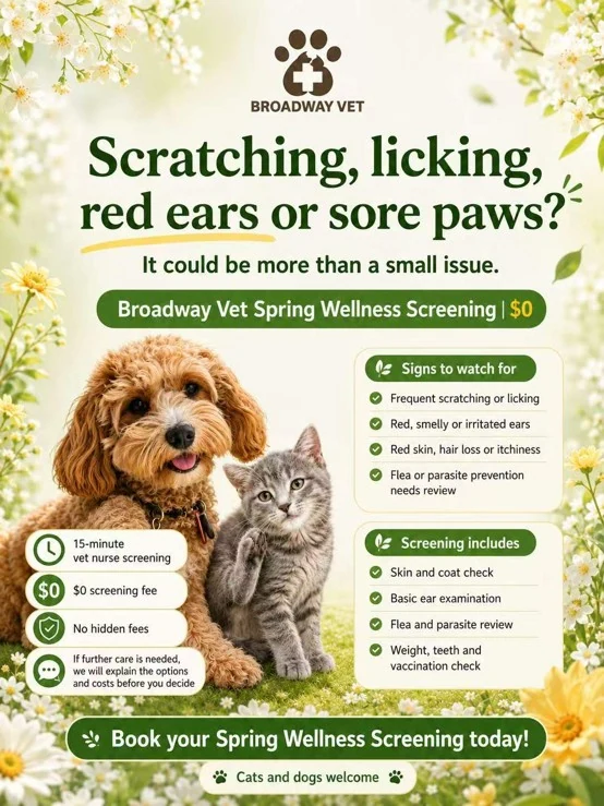 Spring skin and ear irritation: signs to watch for