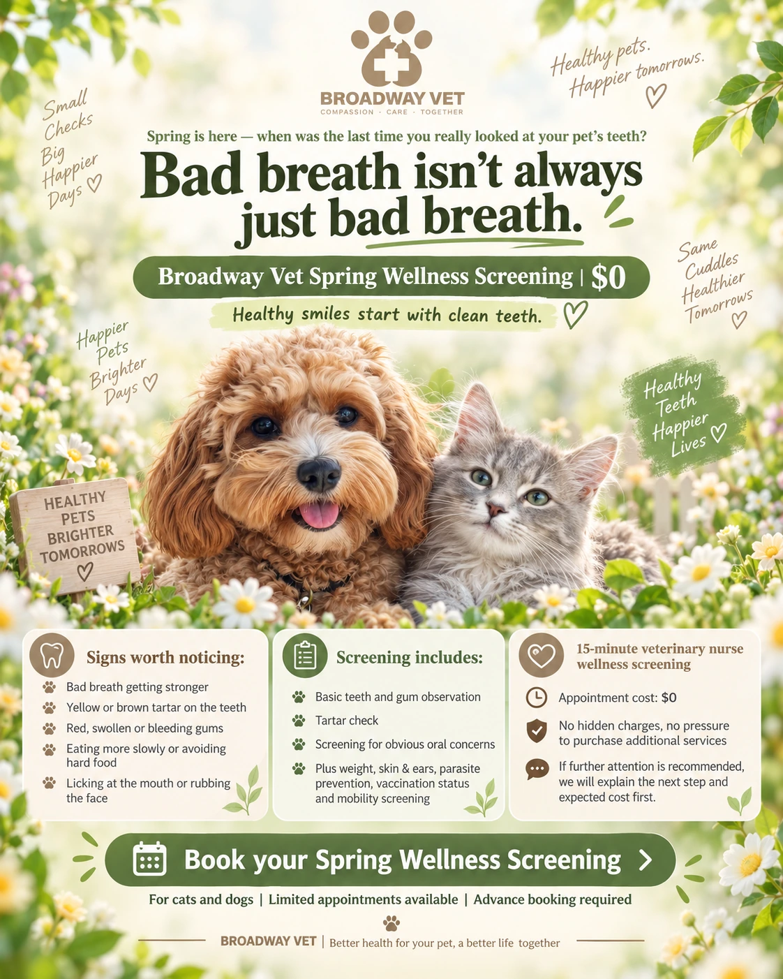 Bad breath in pets: when to check their teeth