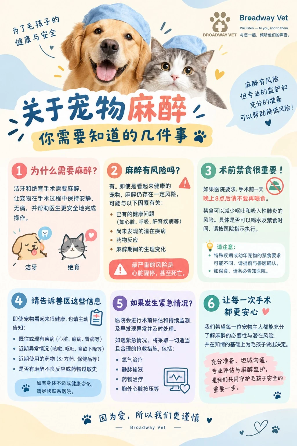宠物麻醉：术前需要了解什么？