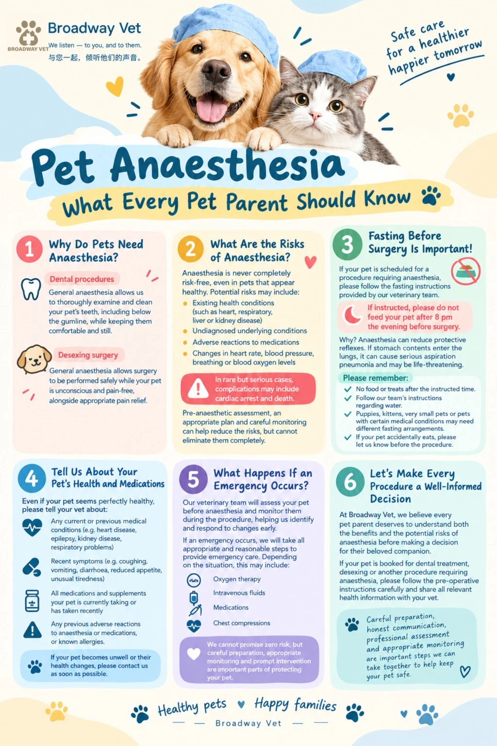 Pet Anaesthesia: What Every Pet Parent Should Know | Broadway Vet pet health information poster