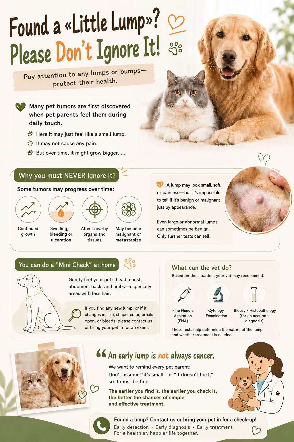 Found a lump on your pet? What to do next